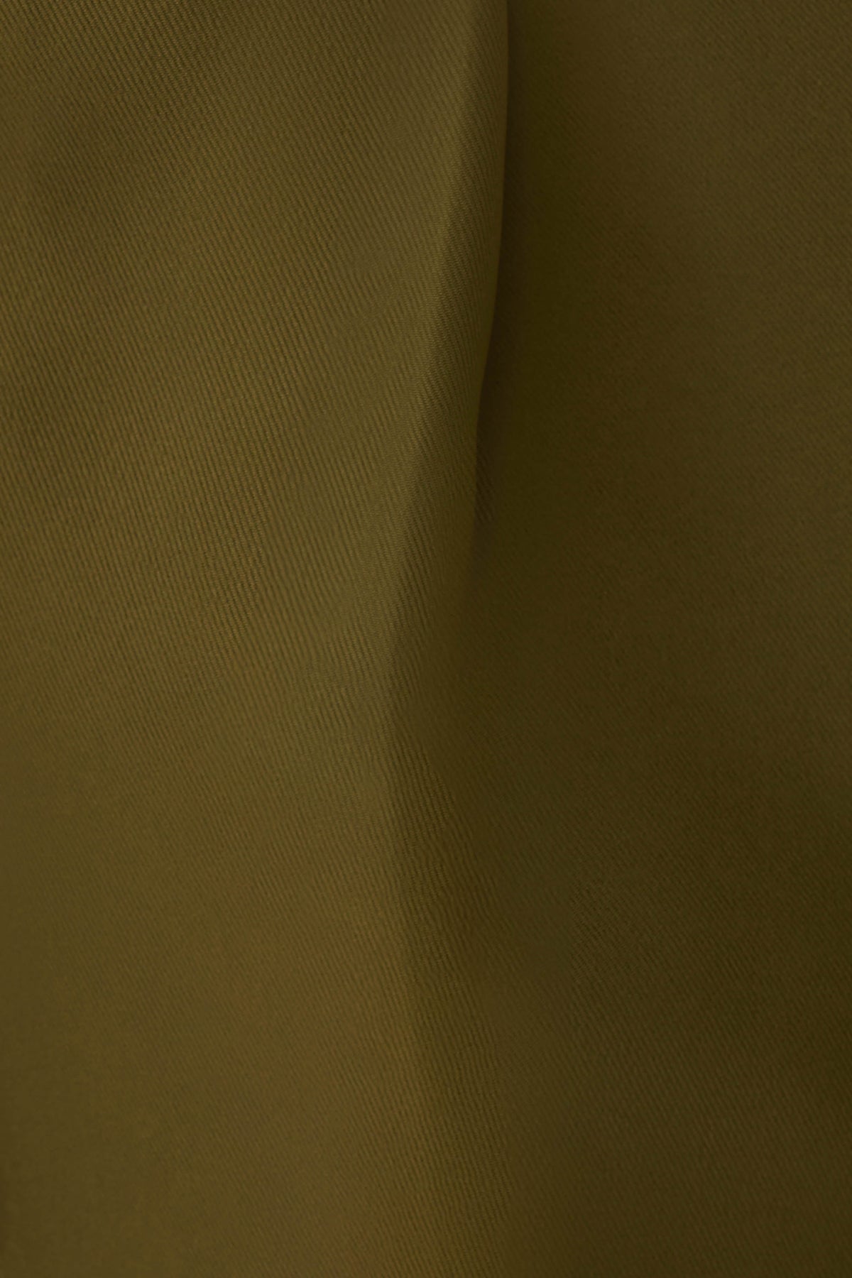 Pleated Suiting Pants - Olive